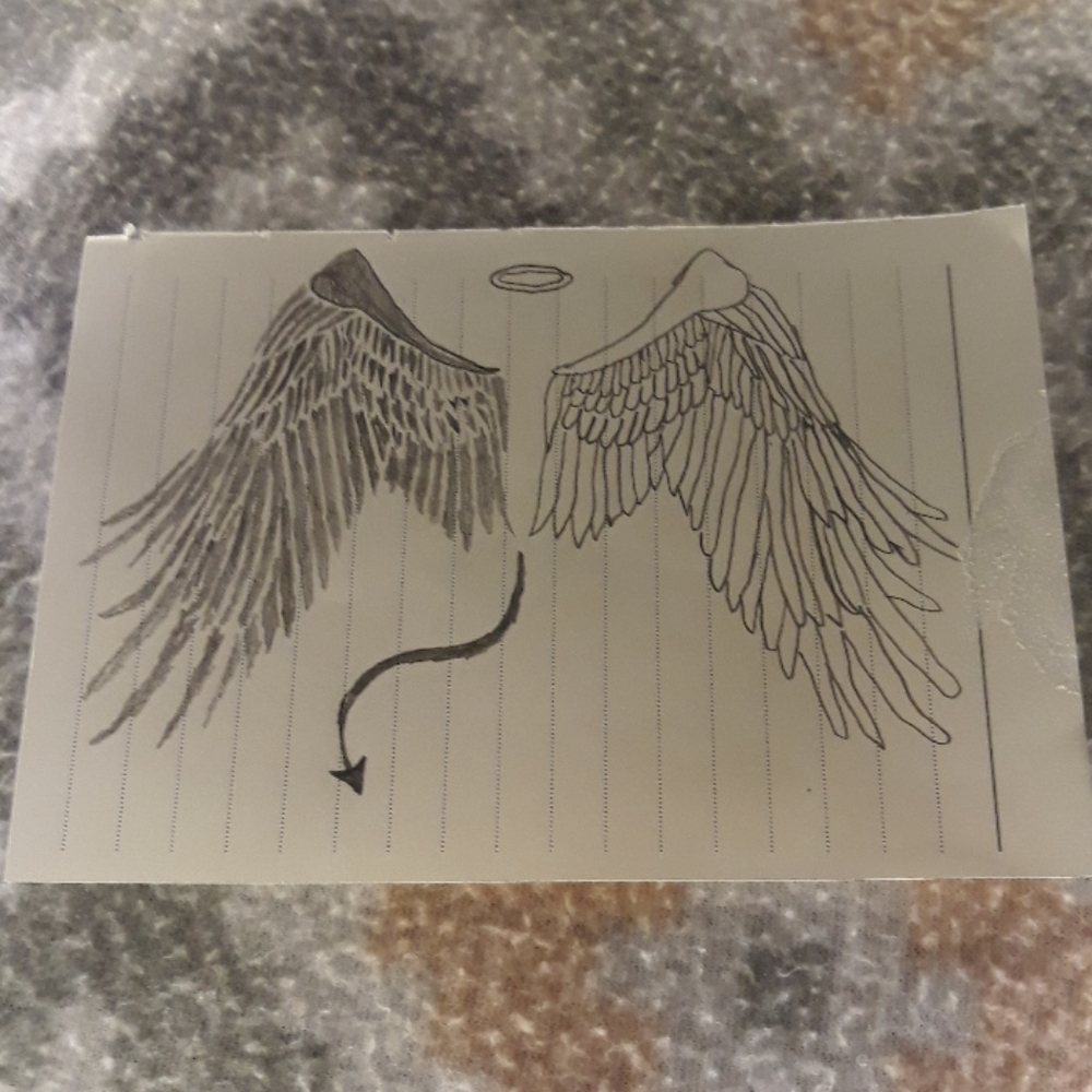 A drawing of wings